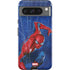 Marvel Spiderman World of Webs Pixel Cases